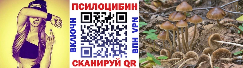 Галлюциногенные грибы Cubensis ссылка на мегу ссылки Петушки сколько стоит